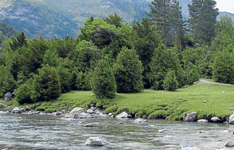 El primer tramo del Ara -en la foto, a su paso por Bujaruelo–, es uno de los propuestos como reserva fluvial. HA 